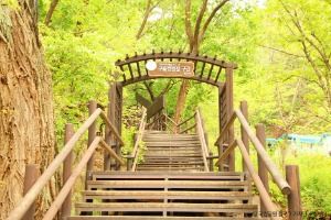 [북한산 둘레길 8구간]  구름정원길