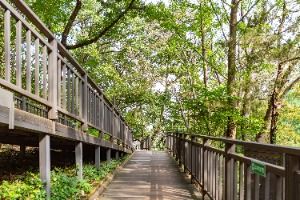 서울_온수도시자연공원(잣절공원) (3) 미리보기