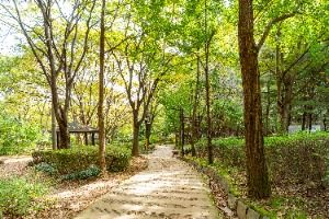 서울_계남근린공원 (4)