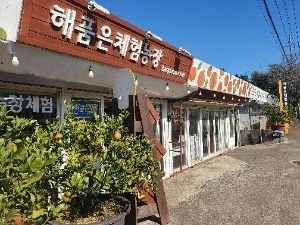 3577234 image3 1 예스키즈존 탐험대 : 실패 없는 육아여행