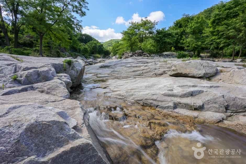 대구_군위_동산계곡 (1).JPG