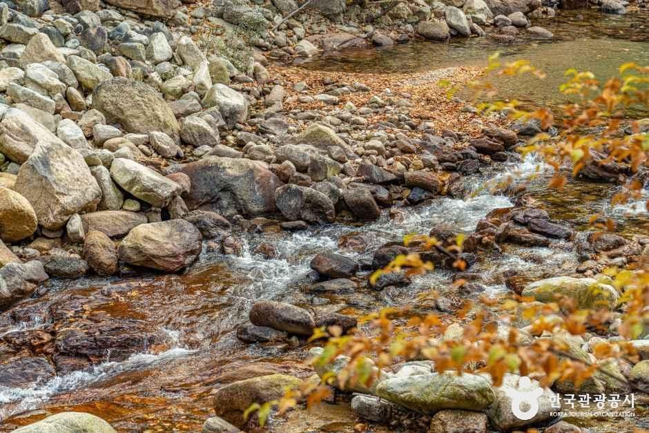 양양_설악산 오색주전골 (10).jpg