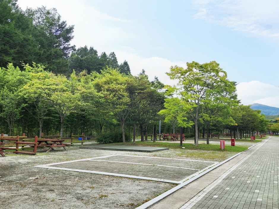 김천부항댐 산내들 오토캠핑장