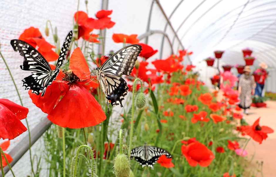 2026 괴산빨간맛페스티벌 (8).jpg