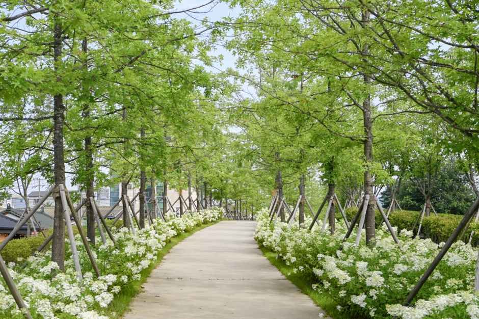 雉岳山 風の道の森