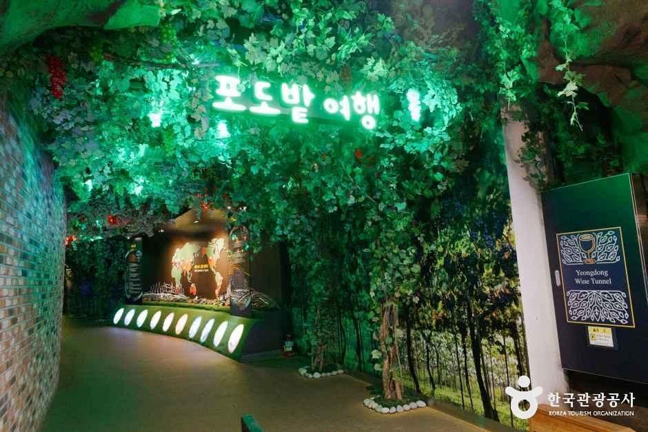 영동 와인터널