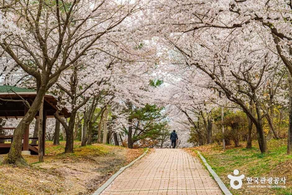 문화근린공원