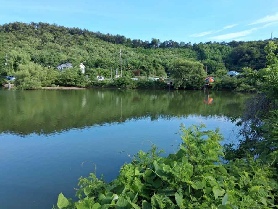 盤斉 釣り場