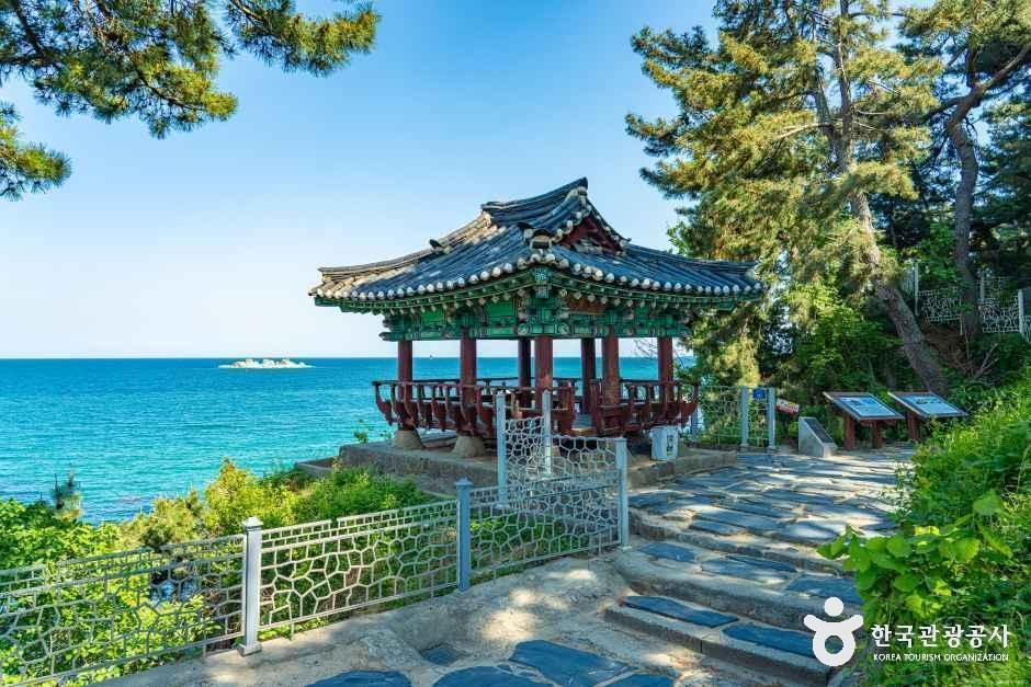 [해파랑길] 46코스