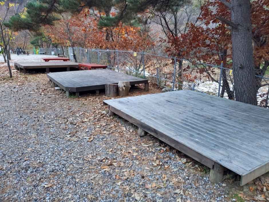 오색산새소리캠핑장