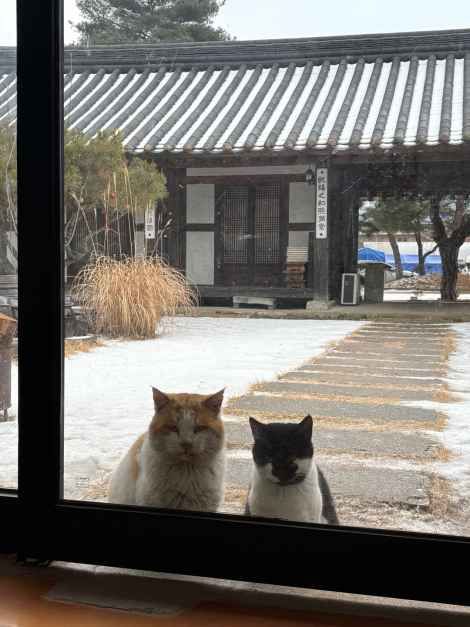 조견당