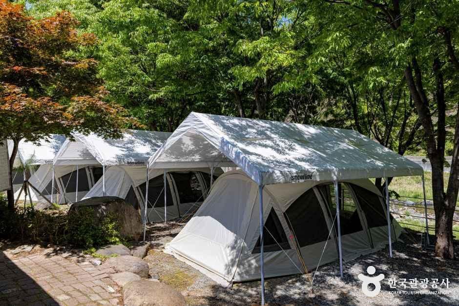 엘림펜션오토캠핑장 - 충청북도 제천시 덕산면 월악산로2길 70-17 관광 명소