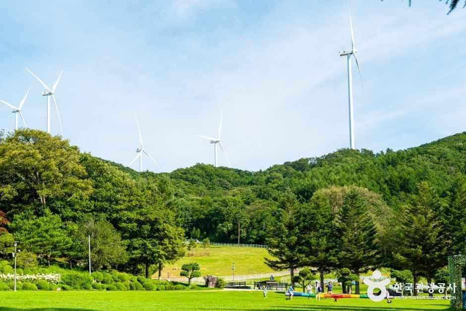 大关岭天空牧场