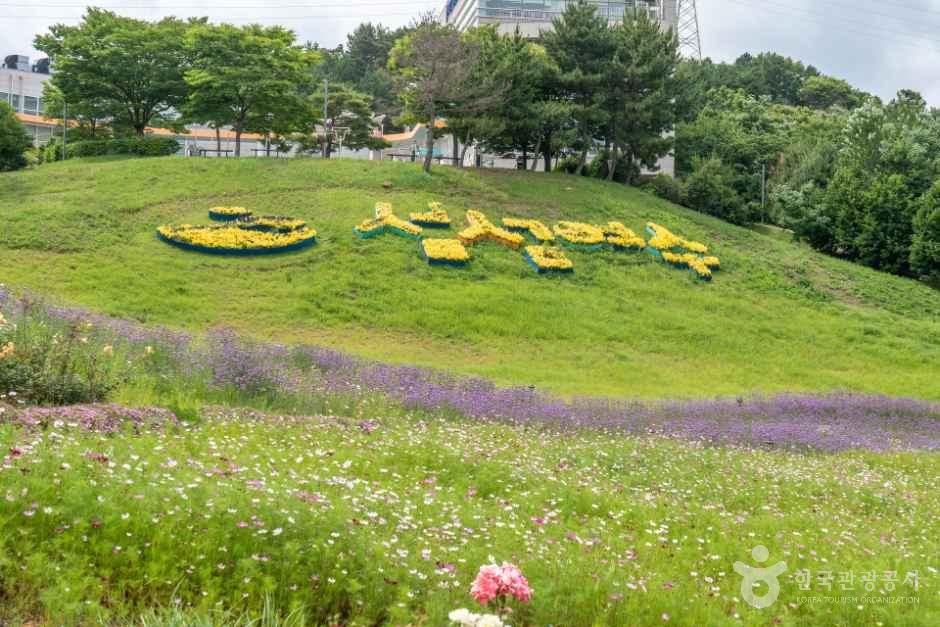 Yeosu Prehistoric Ruins Park