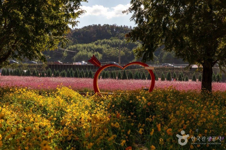 가을 분위기 만끽하러 다녀온 의병의 고장 의령 여행_경남_의령_호국의병의숲친수공원_6.JPG
