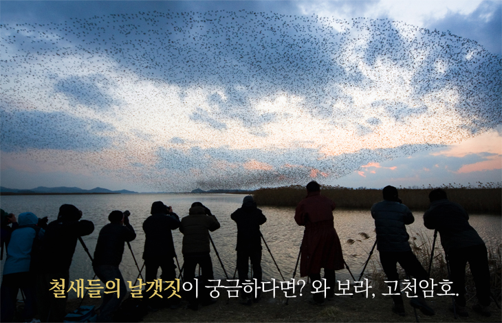 Ibis Budget Ambassador Suwon