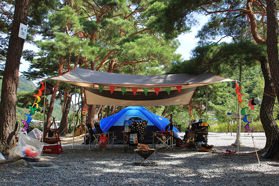 月岳パインオートキャンプ場