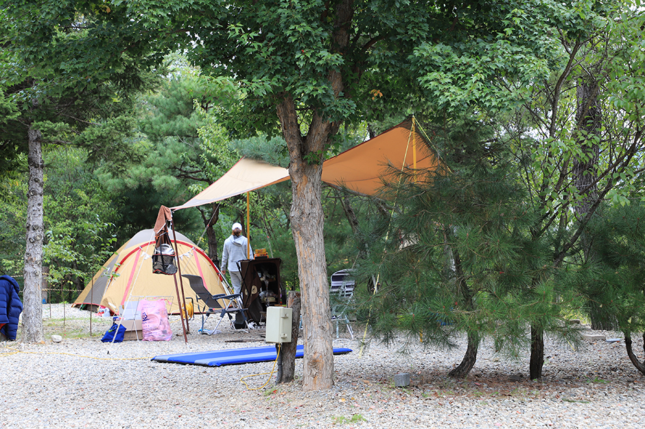 Yongaliessam Campground