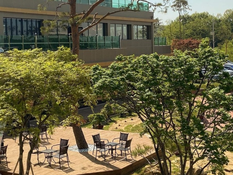 Garden Forest