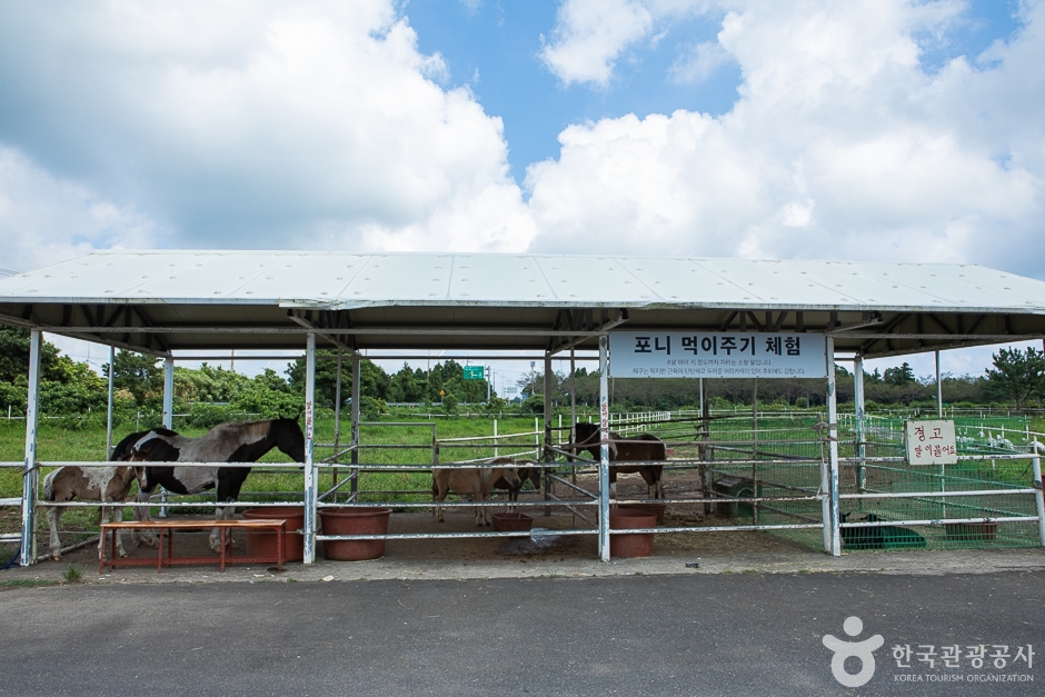ウリ乗馬場