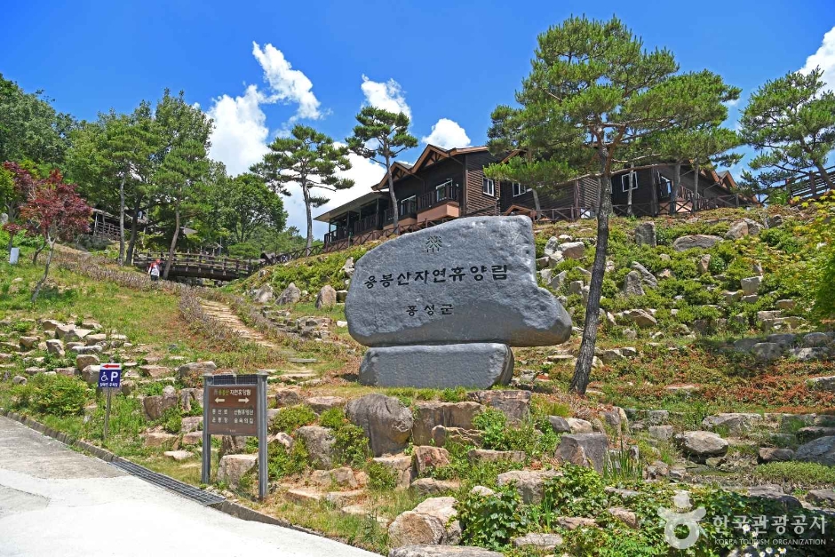 龙凤山自然休养林
