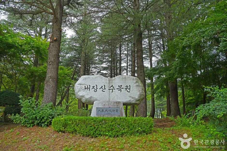 内藏山树木园