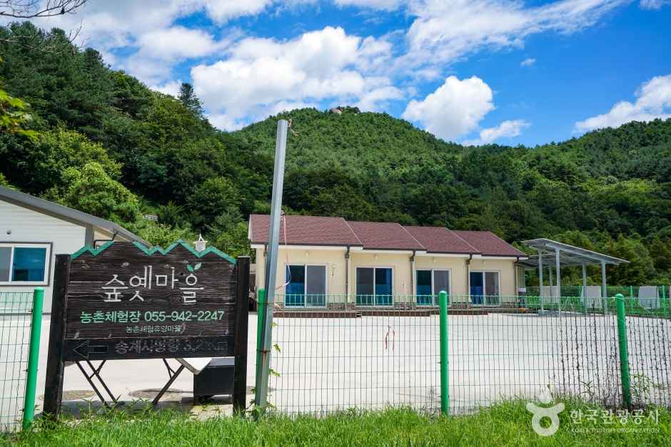 숲옛마을(갈계) 1