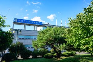 선인장다육식물연구소(구 선인장연구소) 사진 7