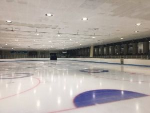 강릉아이스링크