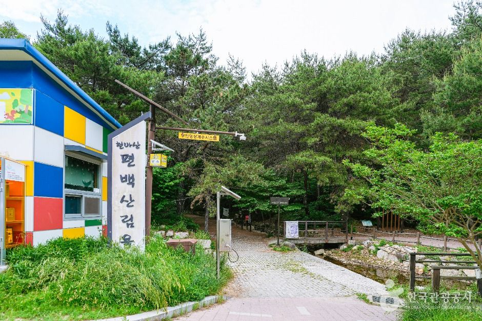 北区扁柏森林浴场