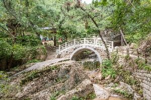 종로_금선사(서울) (5)