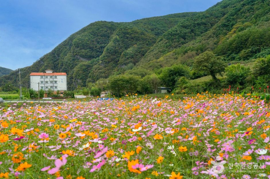 蓬莱山（寧越）