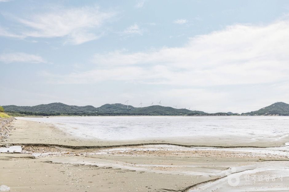 屯场海滩