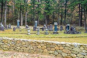 3569635 image3 1 예스키즈존 탐험대 : 실패 없는 육아여행