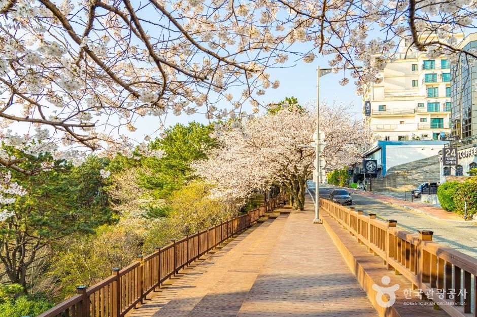 月光路
