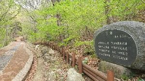 3576135 image3 1 예스키즈존 탐험대 : 실패 없는 육아여행