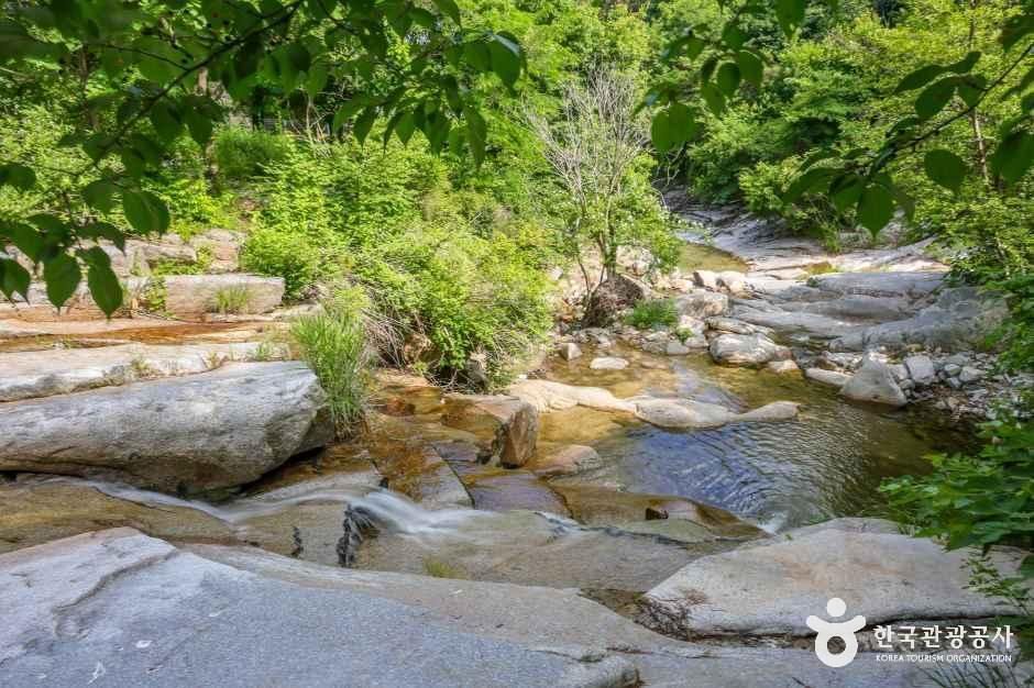 대구_군위_동산계곡 (3).JPG