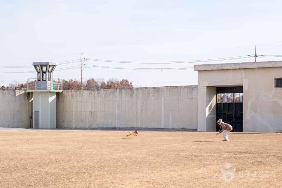 益山监狱布景场