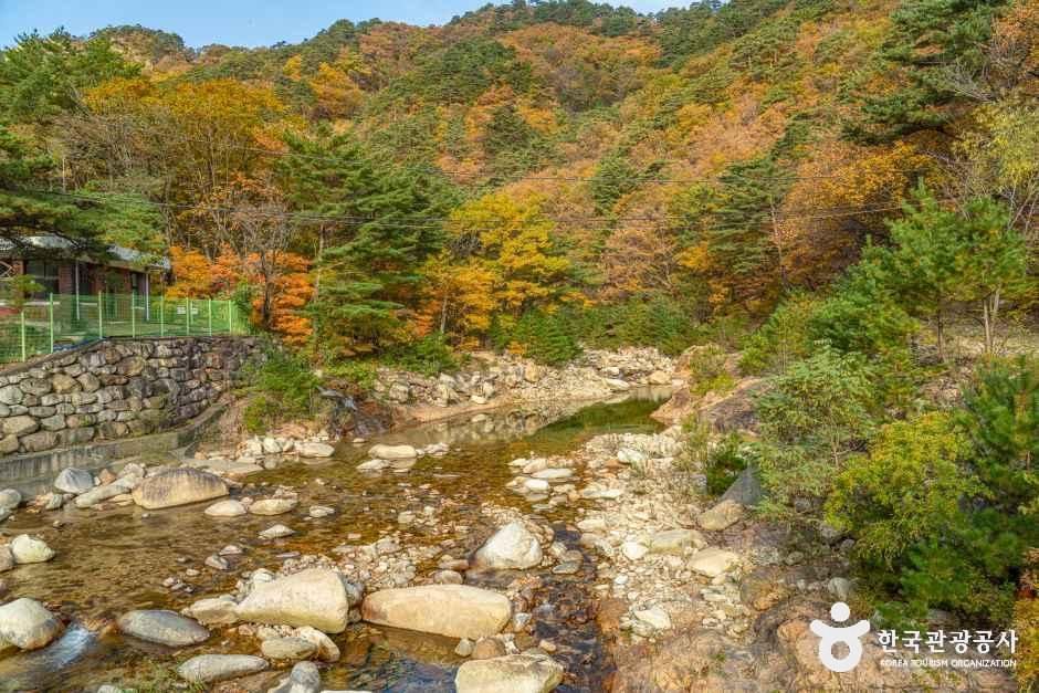 양양_설악산 오색주전골 (1).jpg