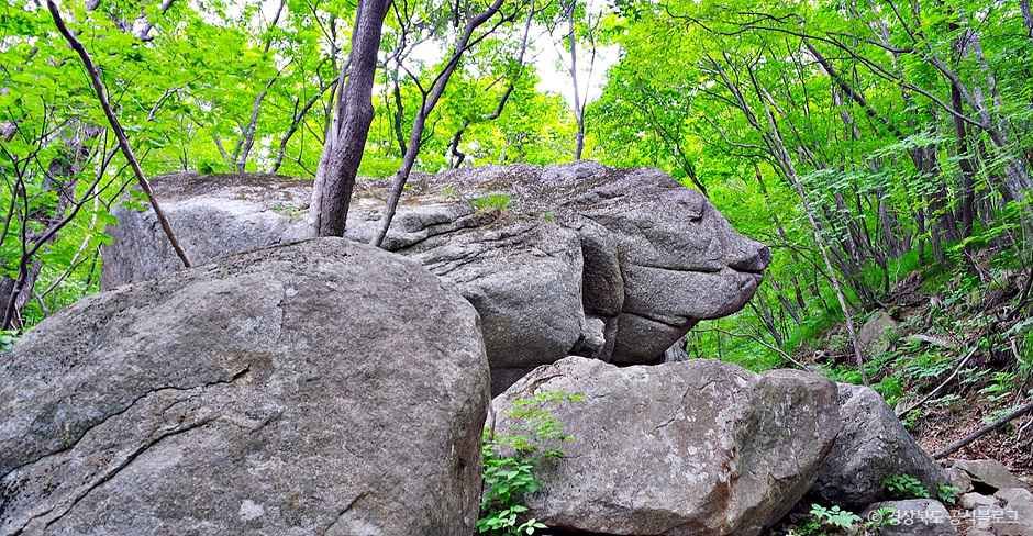영주_소백산 국망봉 돼지바위 (1).jpg