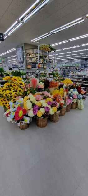 다이소 봉천본점