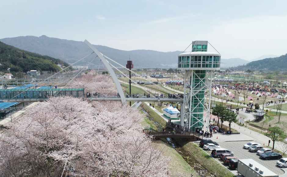 勿禁 桜祭り