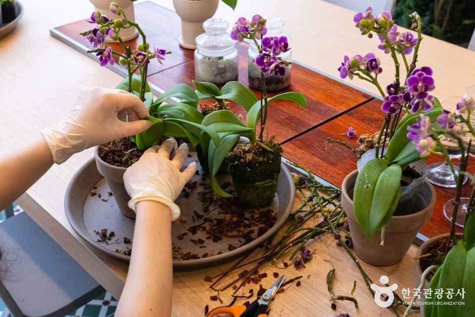 서울_도봉_초안산가드닝센터_체험.jpg