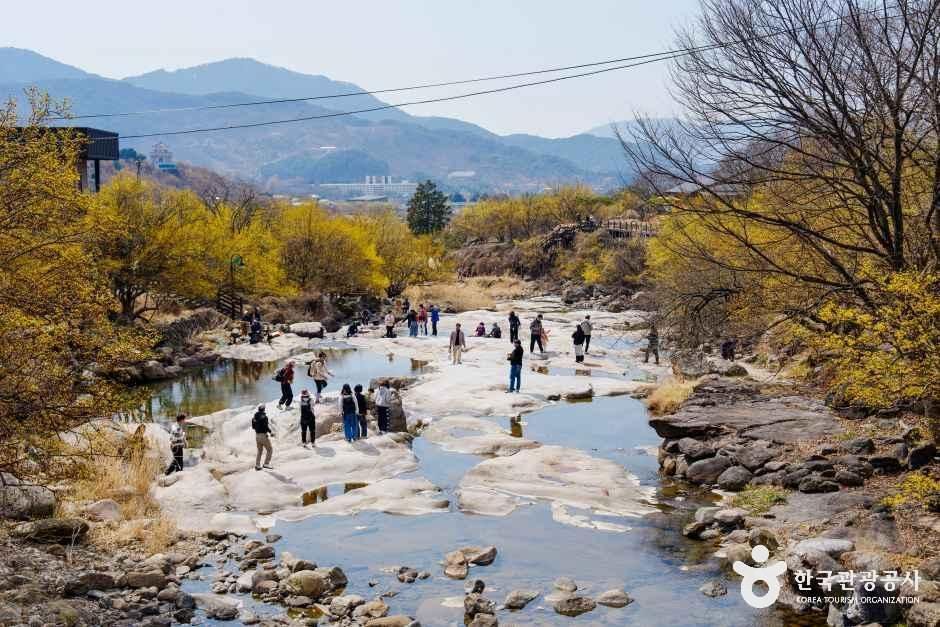구례 산수유마을