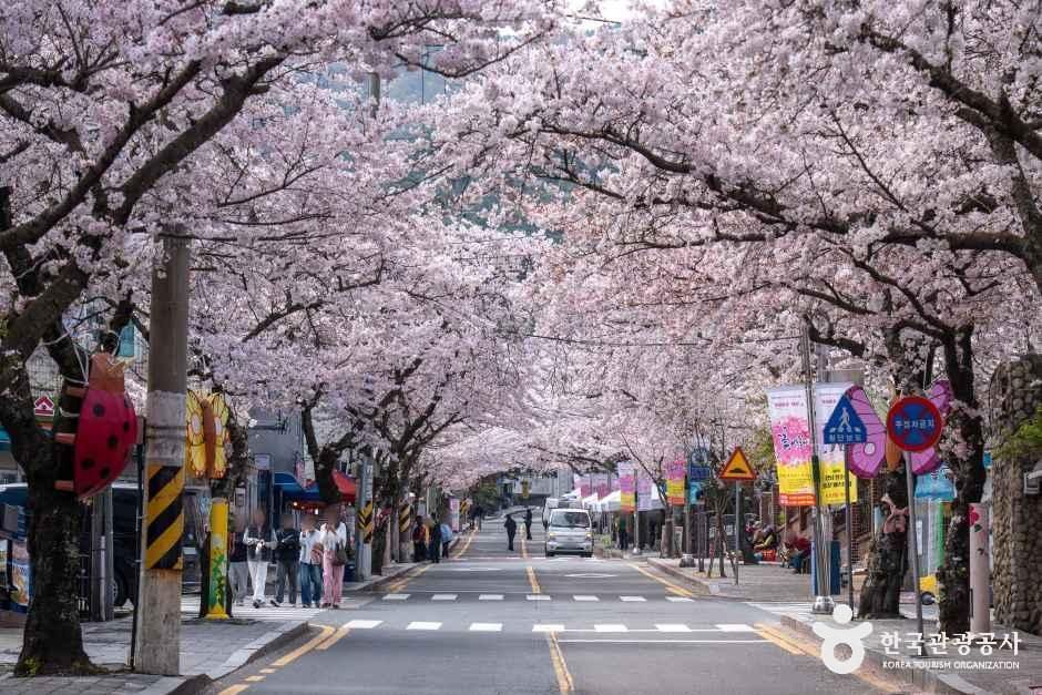 봉숫골 벚꽃길