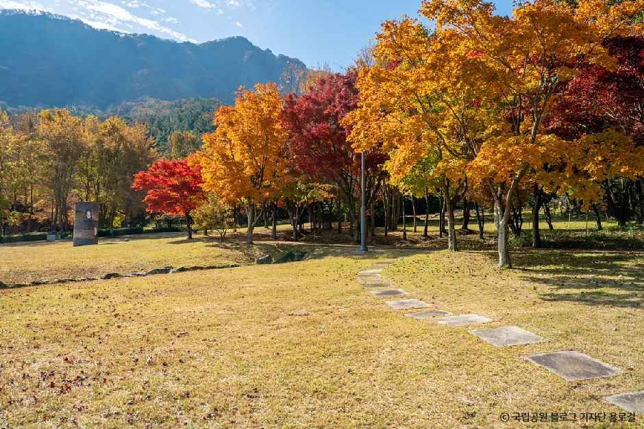 내장산조각공원