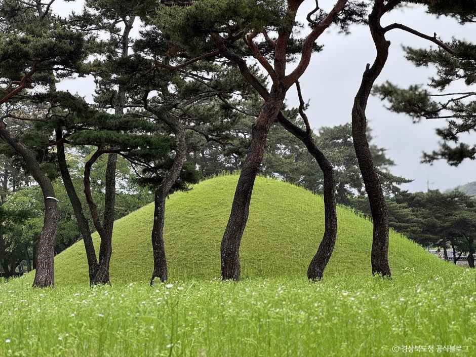 경주_경주 무열왕릉·태종무열왕릉비 (1).jpg