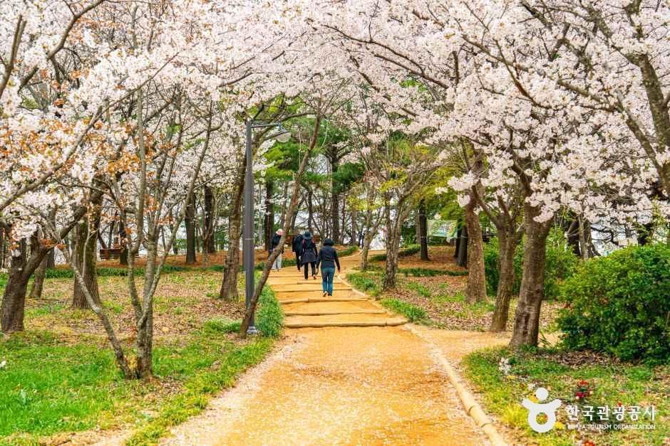 문화근린공원