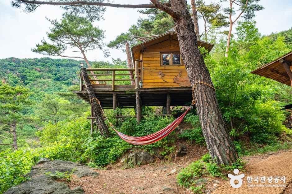 숲의하루