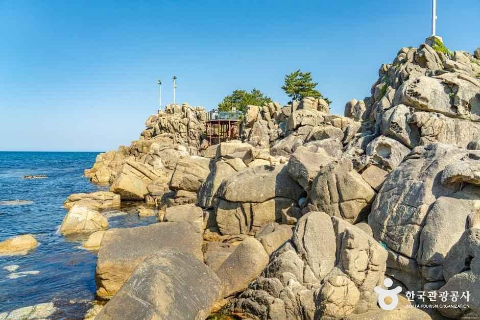 [해파랑길] 46코스
